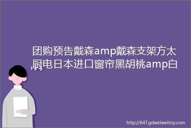 团购预告戴森amp戴森支架方太厨电日本进口窗帘黑胡桃amp白蜡木整板凯鹰置物架诺朗取暖器川岛屋丁博士甲醛检测